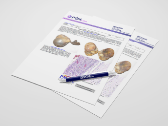 pgmMesa de trabajo 1 copia 3resultados